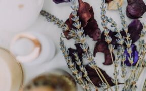 Cat skin cracking dry patches signs and monitoring