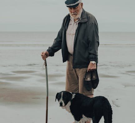 Senior dog digestive problems signs owners should watch for