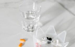 Cat parasites common worms symptoms and treatment overview