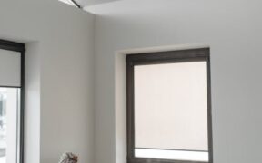 Dog fever signs causes and when to seek emergency care