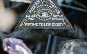 Dog droopy eye causes signs and treatment basics