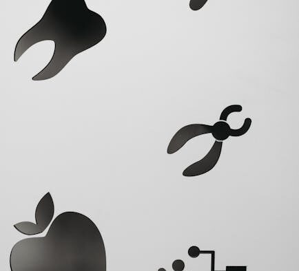 Dental care basics for cats how to reduce plaque and tartar