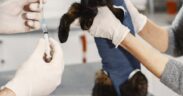 Cat vaccine record keeping tips for responsible owners