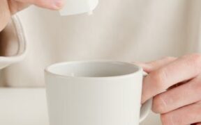 Nausea in cats subtle digestive signs and monitoring