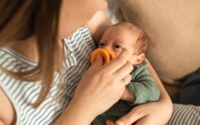 Feeding guide for pregnant cats