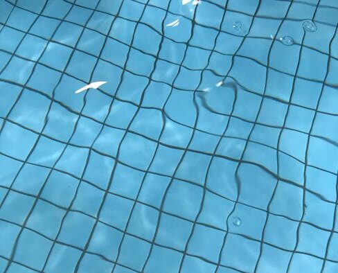 Dog vomiting clear liquid on empty stomach digestive symptom