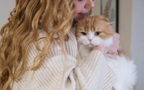 Holding urine too long cat