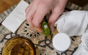 Preventive coat support for allergy prone cats