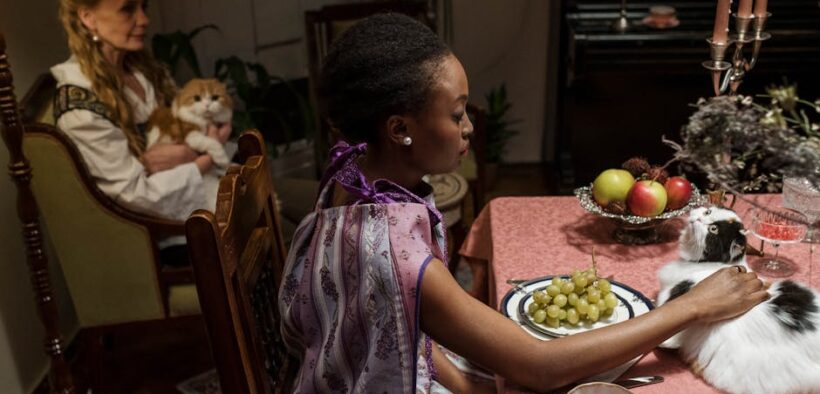 Toxic fruits for cats