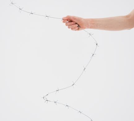 Cats showing discomfort at physical barriers