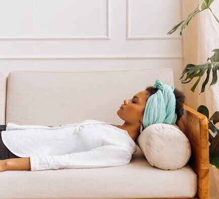 House training basics for adult dogs