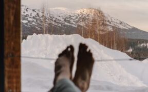 Seasonal anxiety in dogs