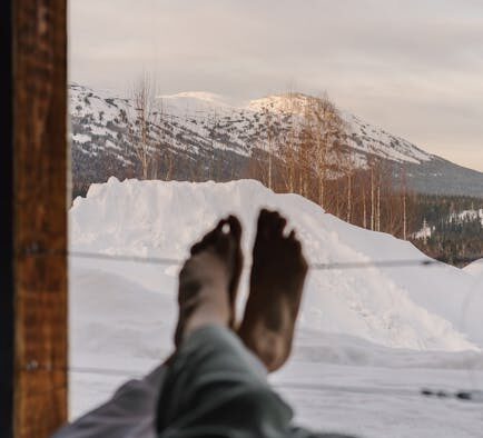 Seasonal anxiety in dogs