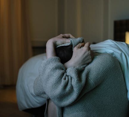 Hiding from anxiety in dogs