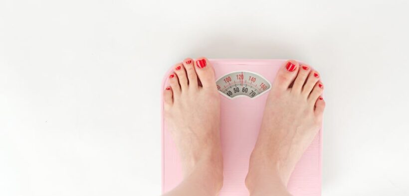 Adult cat nutrition essentials and weight control strategies