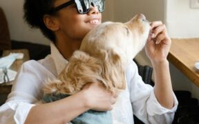 Feeding guide for companion dogs