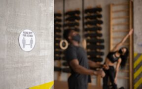 Cat occasional vomiting but normal energy digestive sign