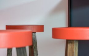 Cat new stool colour change digestive observation