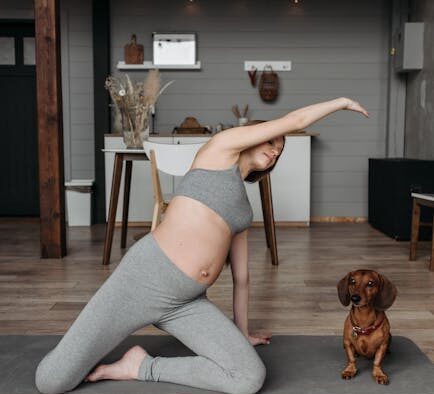 Routine wellness tests for dogs what owners should expect