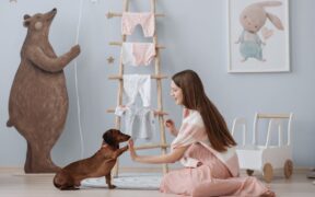 Dog diarrhoea starting after new training treats