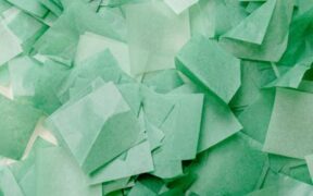 Toxic icing ingredients pets