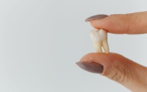 Pet dental care during growth phases