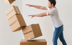 Temperature change anxiety in pets