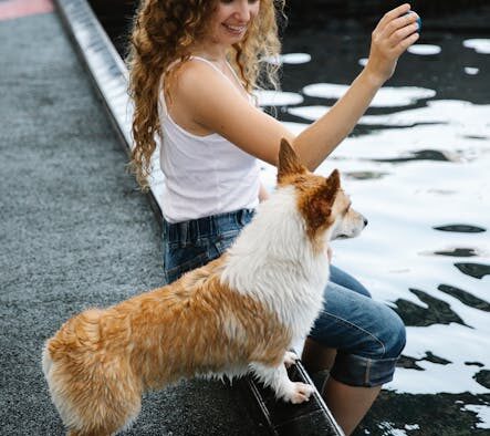 Urine pooling in fur pets