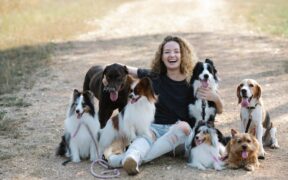 Dogs showing tension when owner hugs someone