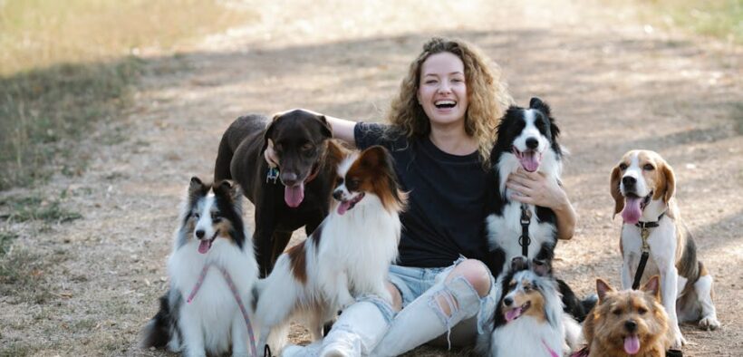 Creating positive crate associations for dogs