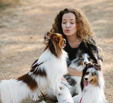 Dogs Reacting During Owner Disagreements