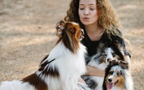 Dogs barking at unfamiliar objects