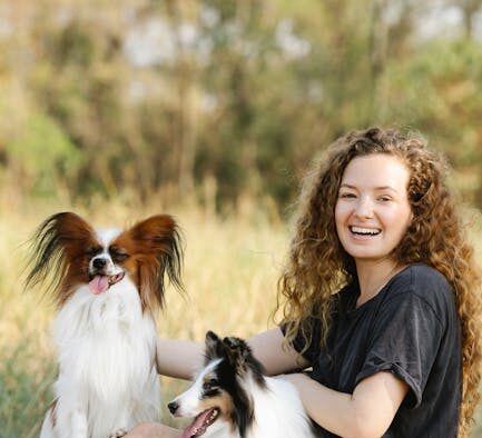 Feeding guide for toy breed adult dogs