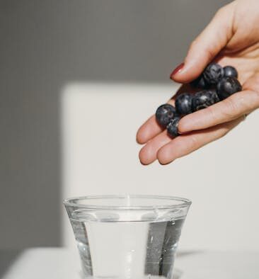 Fiber supplements for dogs