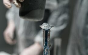 Understanding mild vaccine reactions vs emergencies in cats