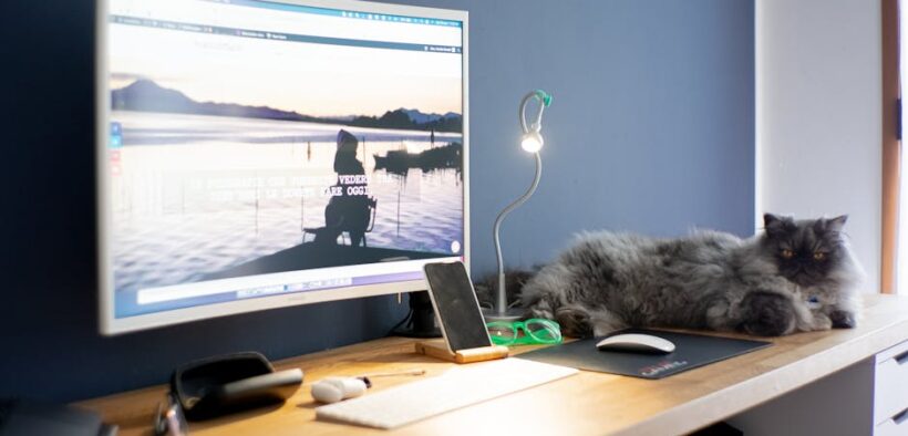 Cat vomiting brown fluid digestive symptom and monitoring