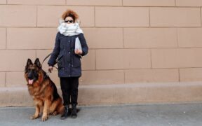 Supplements for mobility support in large dogs