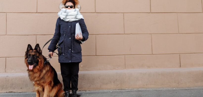 Supplements for mobility support in large dogs