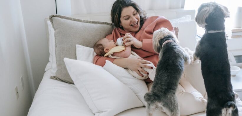 Giardia in dogs home care and when it is an emergency