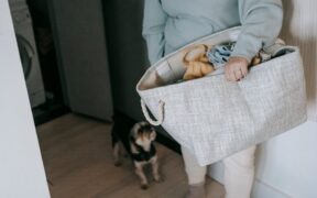 Dogs reacting when pressured to move