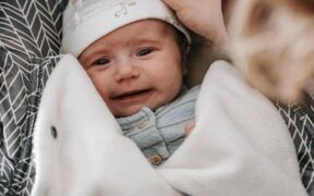 Dental care awareness for small cats