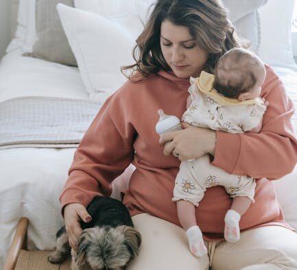 Dog daycare vaccine requirements and owner checklist