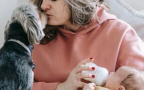 Dog daycare vaccination checklist what owners must bring