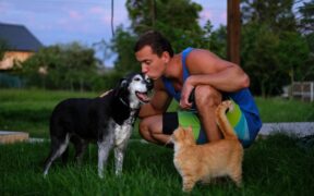 Urinary muscle weakness pets