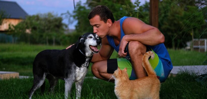 Urinary muscle weakness pets