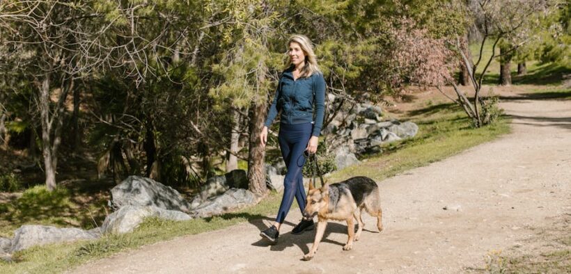 Urinary pain waking pet