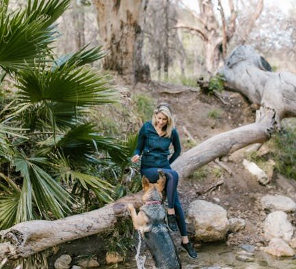 Weak urine stream pets