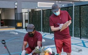 List of toxic foods for pets