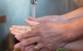 Preventive safety around children and dogs