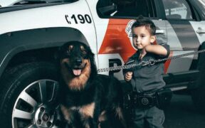 Aspiration pneumonia pets